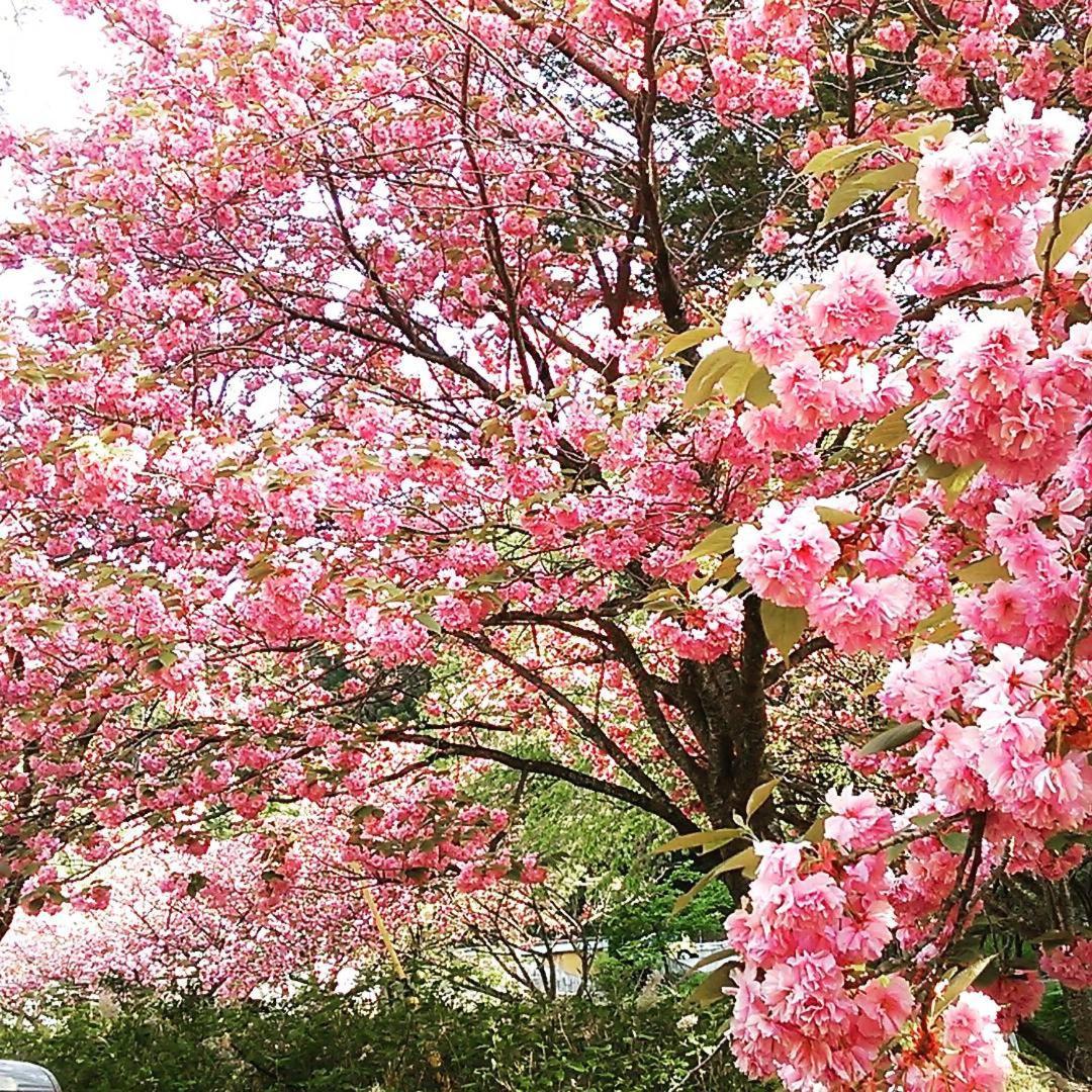 Ayameya Ryokan Nakanojo Экстерьер фото
